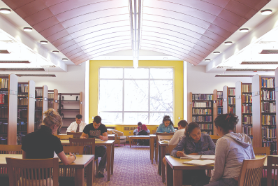 Students studying in the library.