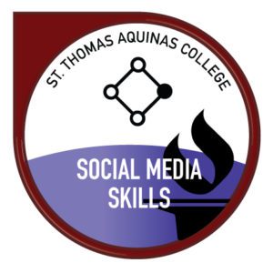 social media skills